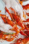 文和友又來搞事情了，這次是露營