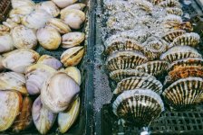 市值縮水近90%后，“中國水產(chǎn)第一股”指望預(yù)制菜“救命”？